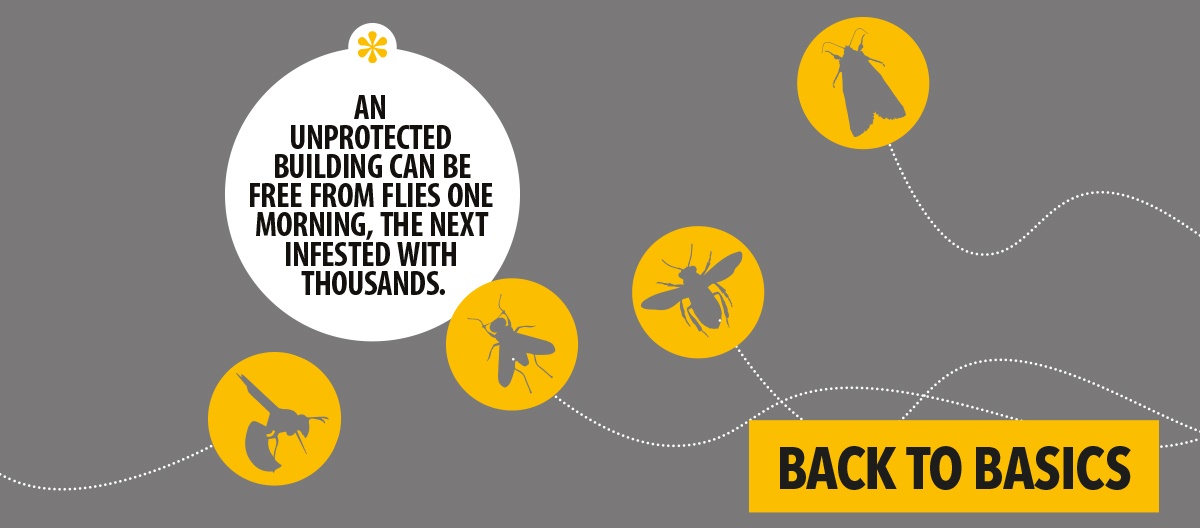 Flying insect control and ipm Flying insect control and ipm